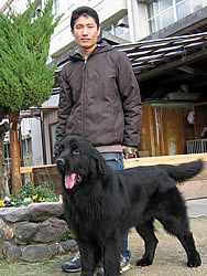 院長と愛犬マリア（ニューファンドランド）